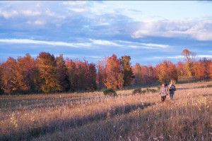 Bay Shore Blufflands - Nature Preserve