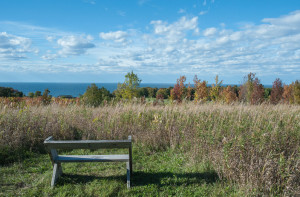 Bay Shore Blufflands - Nature Preserve