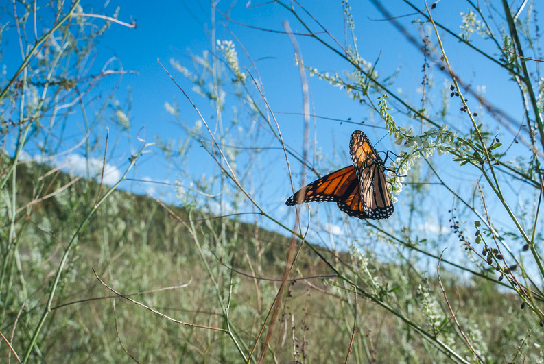 Bay Shore Blufflands Nature Preserve