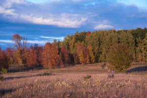 Bay Shore Blufflands - Nature Preserve