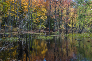 Ephraim Preserve at Anderson Pond