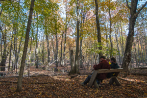 Ephraim Preserve at Anderson Pond