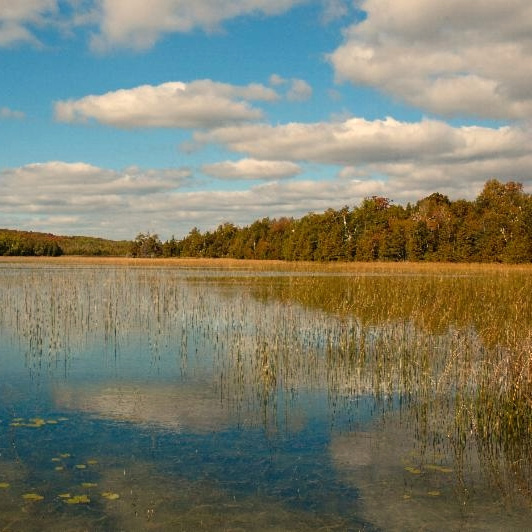 Kangaroo_lake_fall_foliage_post