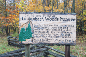 Lautenbach Woods - Nature Preserve