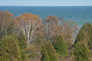 Legacy Preserve at Clay Banks