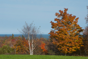 Legacy Preserve at Clay Banks