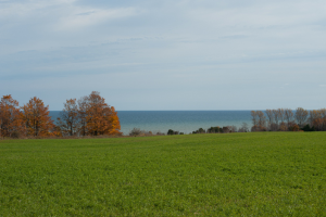 Legacy Preserve at Clay Banks