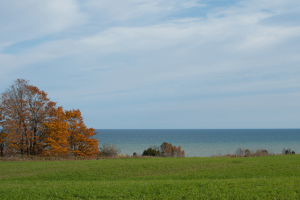 Legacy Preserve at Clay Banks