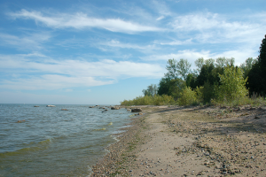 Legacy Preserve at Clay Banks