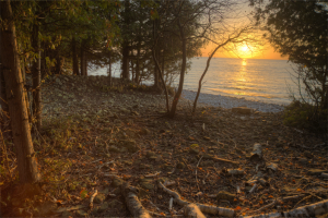 Little Lake Nature Preserve