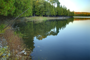 Little Lake Nature Preserve