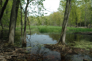 Ephraim Preserve at Anderson Pond