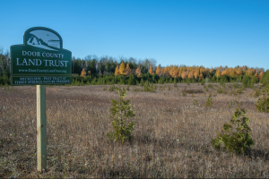 Harold C. Wilson - Nature Preserve