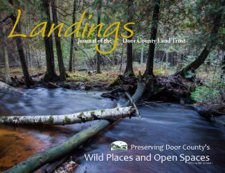 Landings- Fall 2014