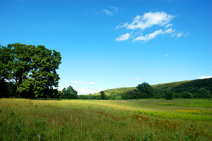 Bay-Shore-Blufflands-Aug-2010-by-J-Schartner-003adj