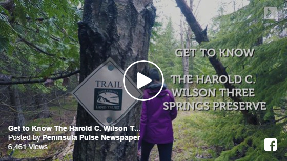 3springs_video