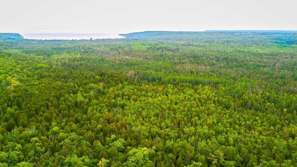 Gibraltar Ephraim Swamp aerial by Dan Eggert_HDR