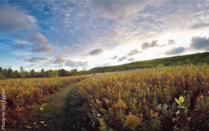 Bay-Shore-Blufflands-Nature-Preserve