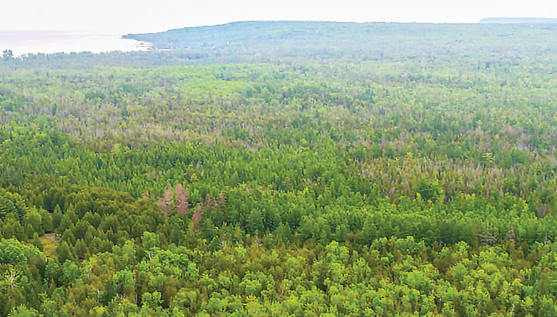 Gibraltar-Ephraim-Swamp-Natural-Area