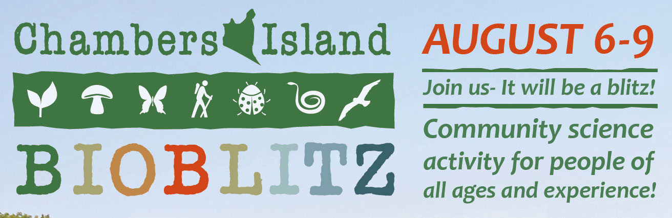 bioblitz-web-banner