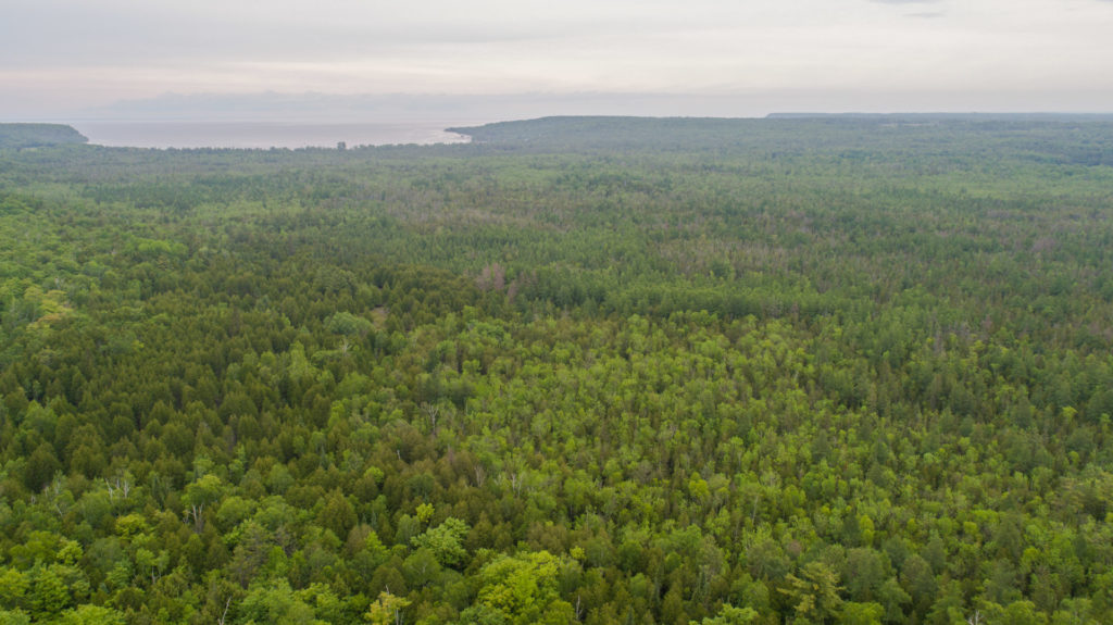 Gibraltar Ephraim Swamp aerial by Dan Eggert