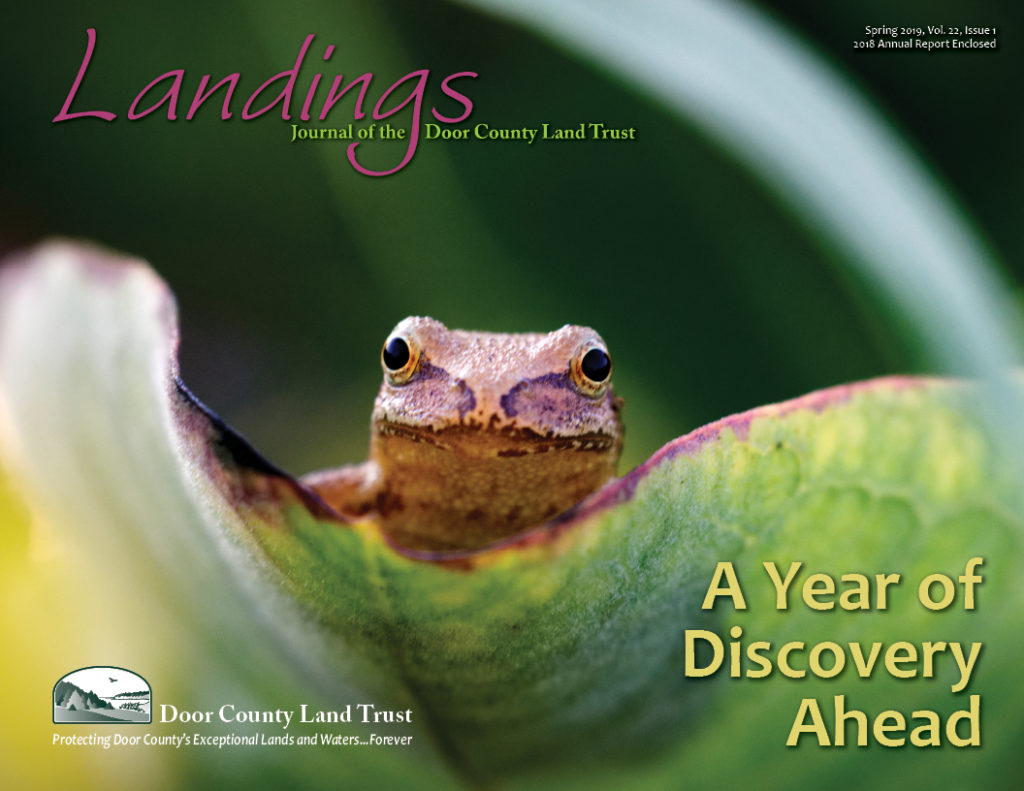 2019 Landings - Front Cover 19_04_08