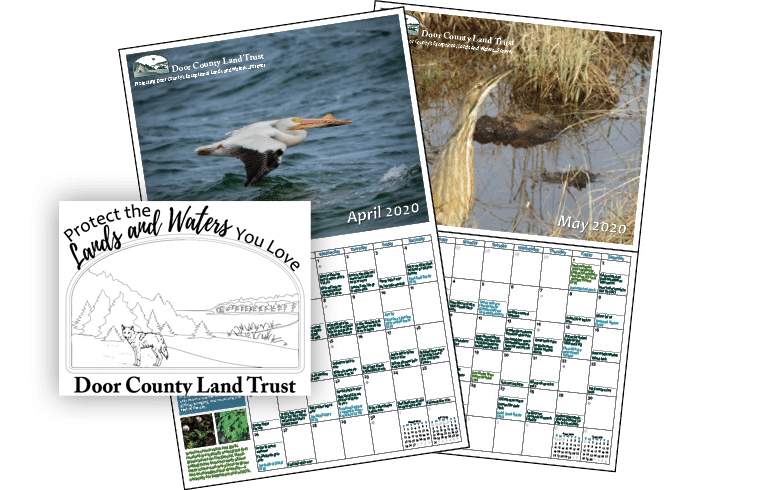 calendar & coloring page!