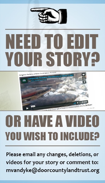 makeachange-orvideo-graphic3 edit