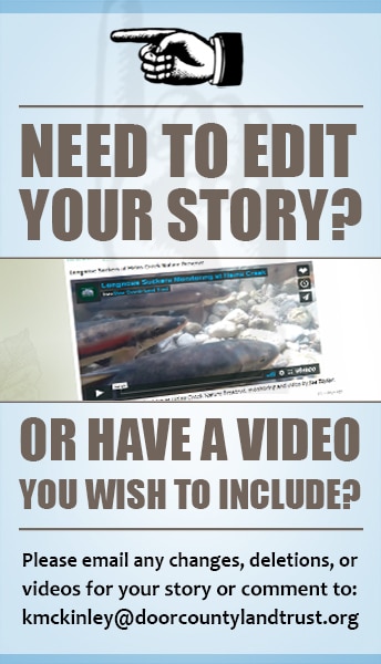 Edit your story