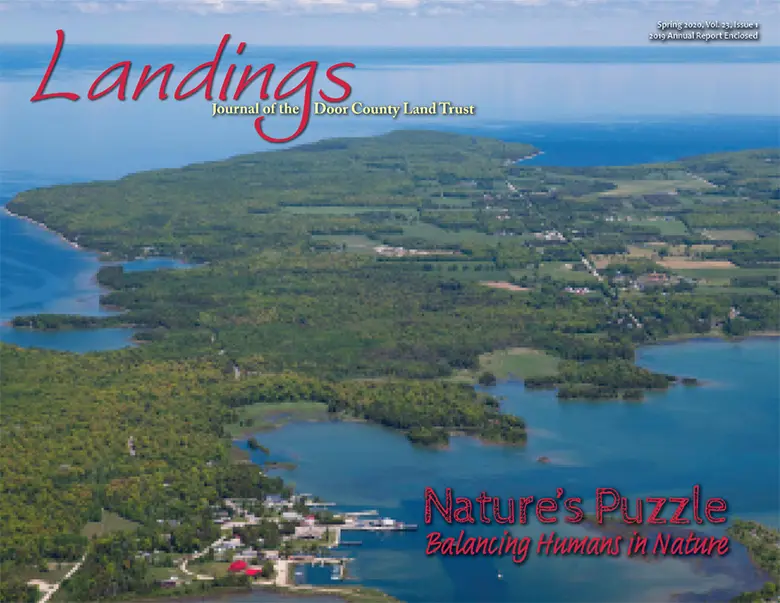 2020-Landings--Front-Cover-web