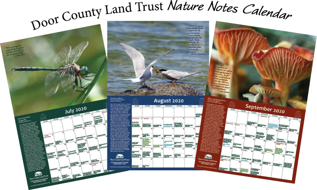 Calendar- sample images with headline