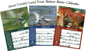 Calendar- sample images with headline Calendar- sample images with headline