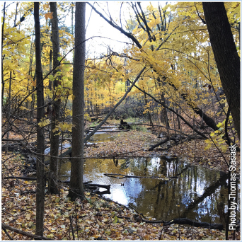 VISION-southern-door-creek-beds-image-no-border