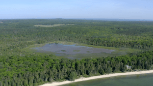 Big and Little Marsh shoreline Big and Little Marsh shoreline
