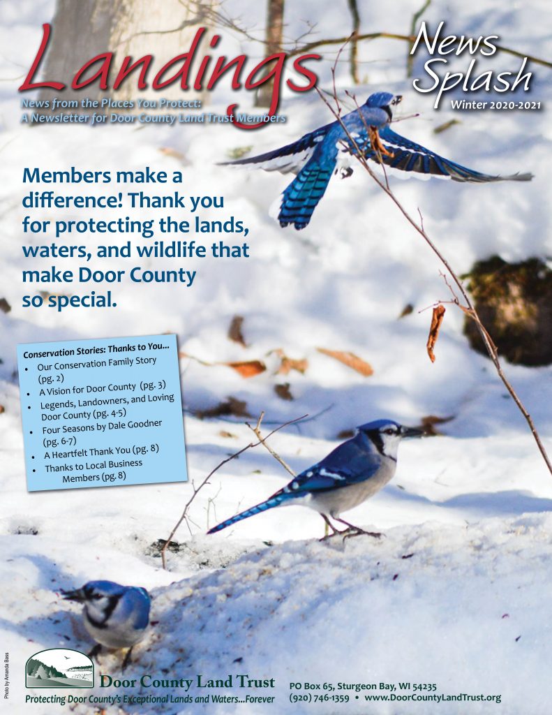 Winter Landings 2020 Front Cover USE