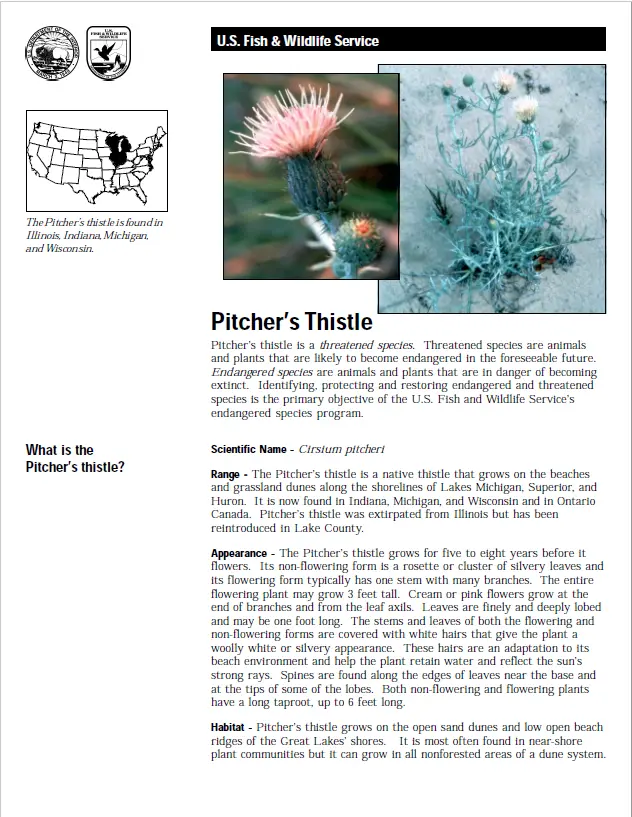 USFWS Pitcher’s Thistle Fact Sheet