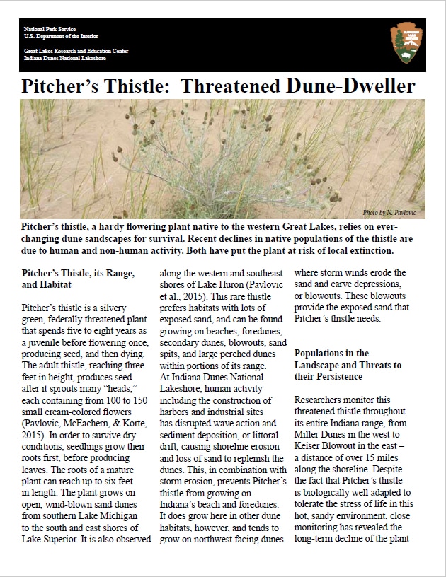 pitchers-thistle-NPS