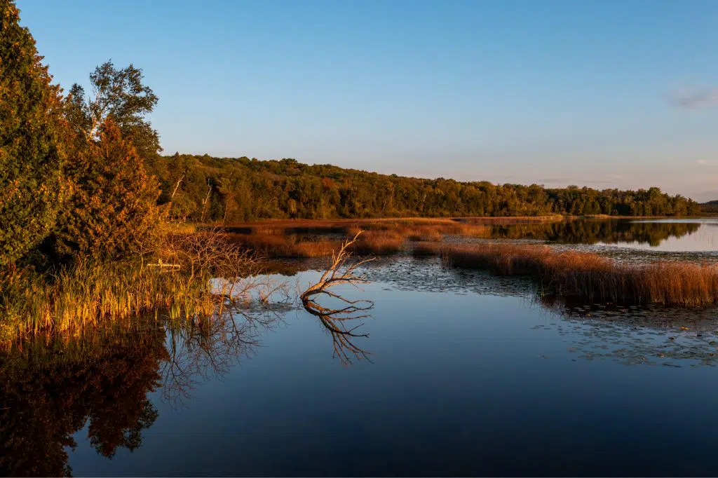 Kangaroo Lake Np by Dan Eggert