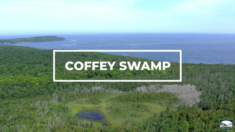 CoffeySwamp