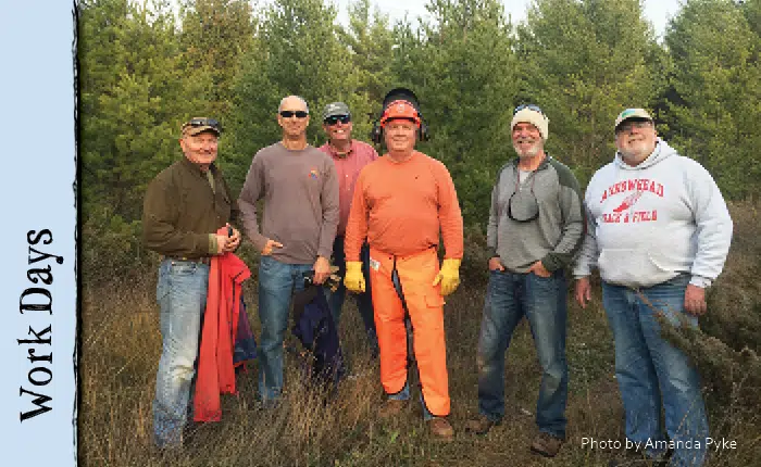 Scotch Pine Work Day