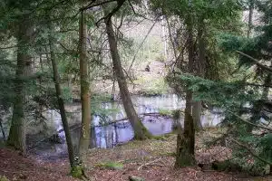 Heins Creek