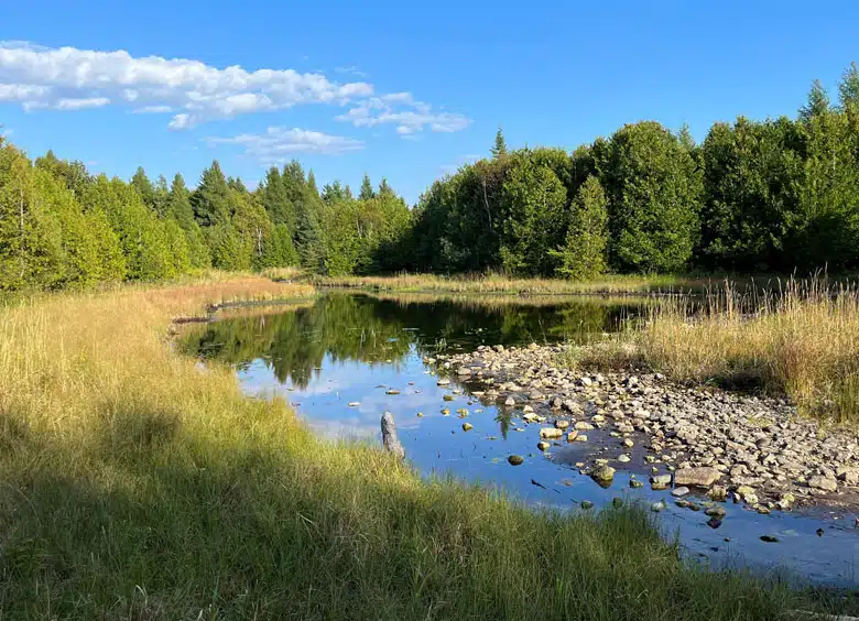 Three springs