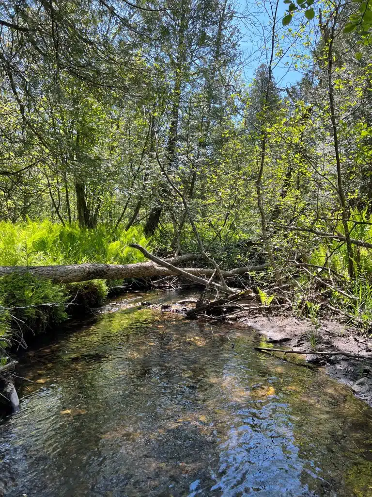 Bear Creek Nature Preserve