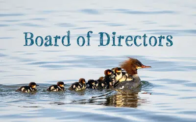 board of directors