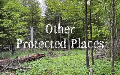 other protected places
