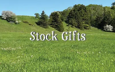 stock gifts