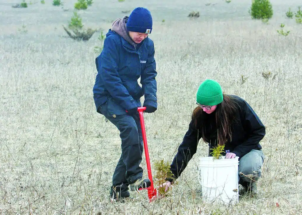 Plant trees on Earth Day With Us