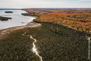 Peil-Creek