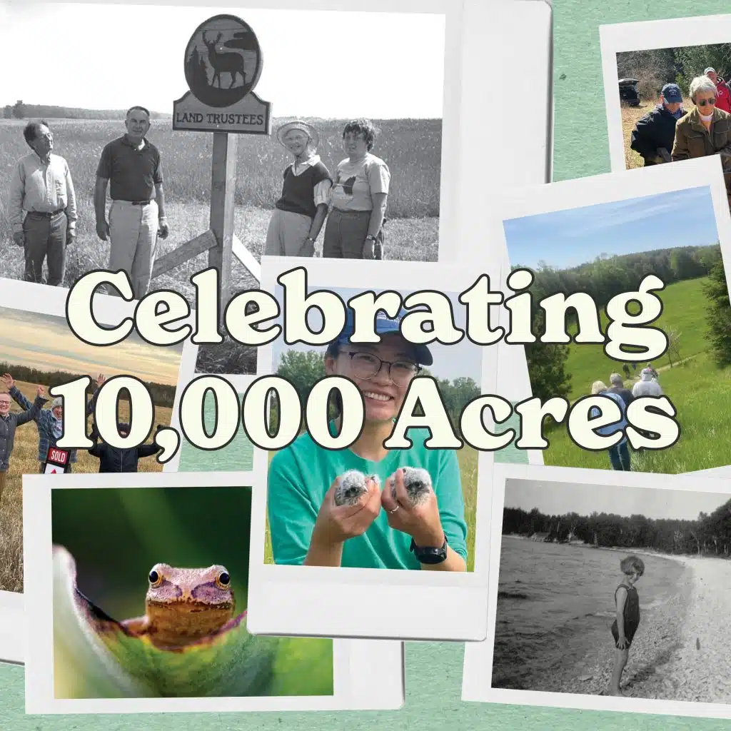 celebrating 10,000 acres