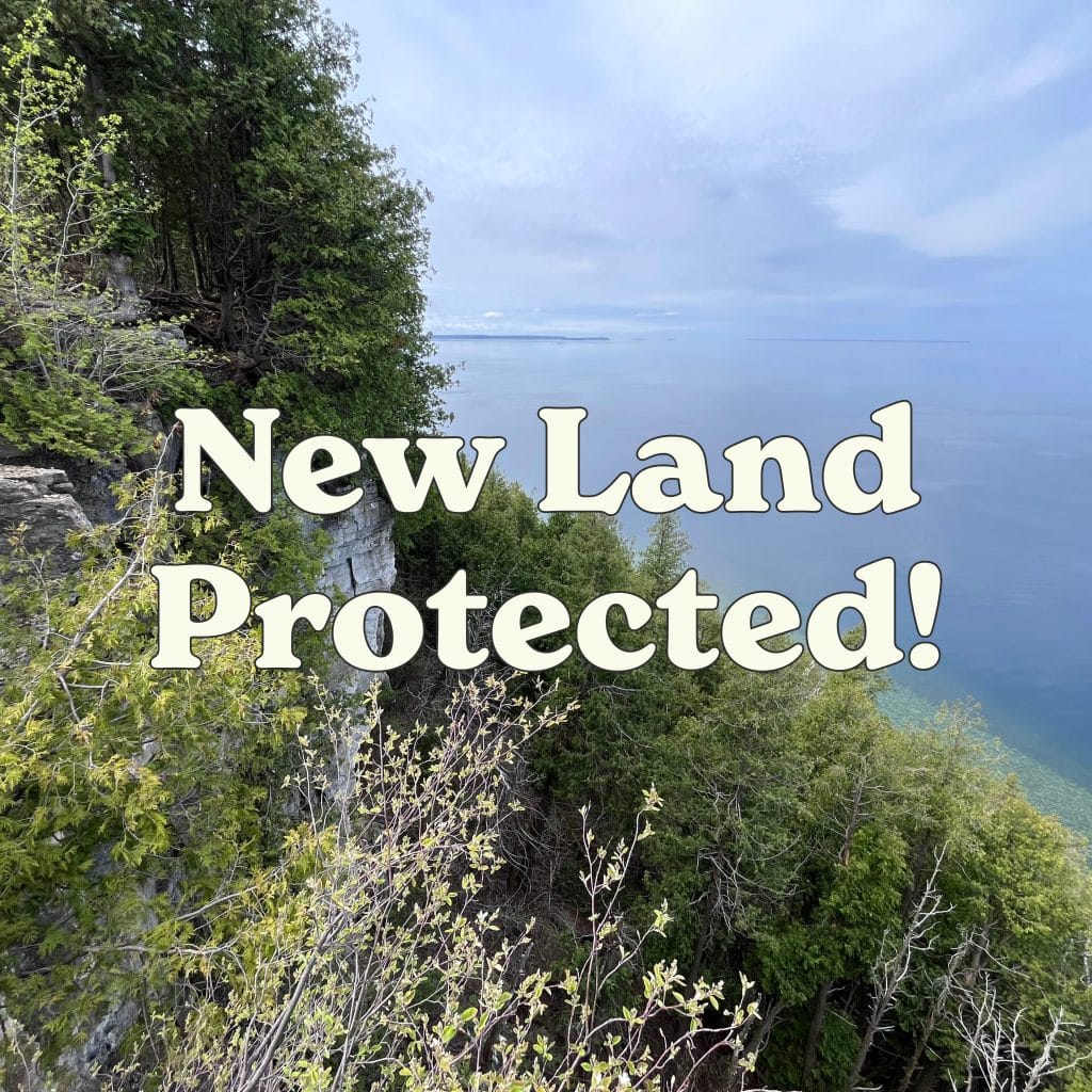 New Land Protected square Gearen CE
